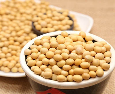 Soybeans (non-gmo) supplier brazil soybeans exporters