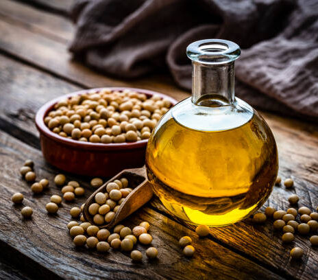 Brazil Soybean GMO and NON-GMO Supplier and Exporter Brazil soybean exporter