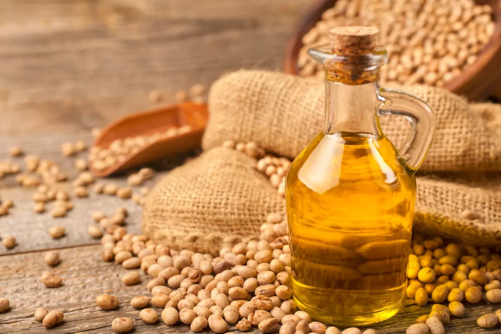 Brazil Soybean GMO and NON-GMO Supplier and Exporter Soybean oil exporter brazil soybeans exporters