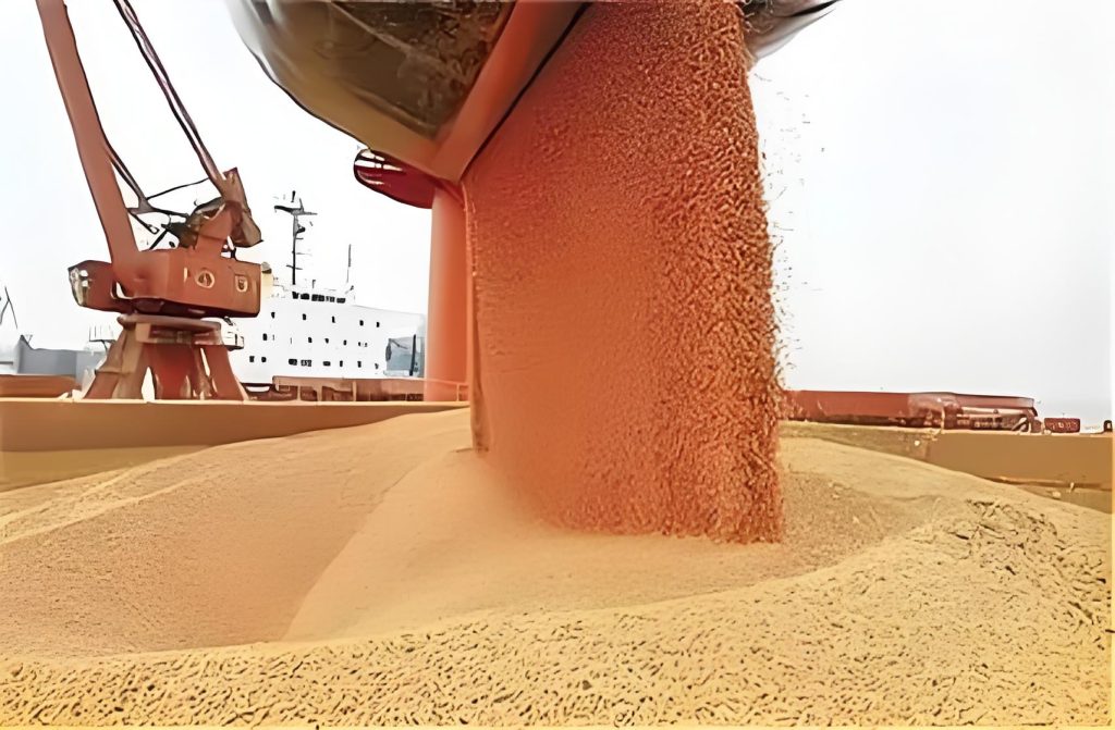Soybean supplier & exporter to chile brazil soybeans exporters