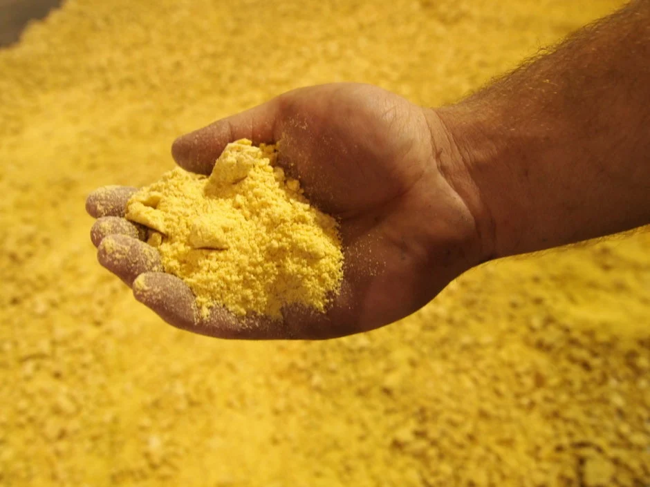 Organic soybean flour brazil brazil soybeans exporters
